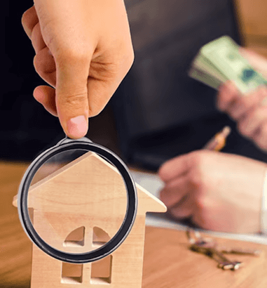 UAE Property Data image